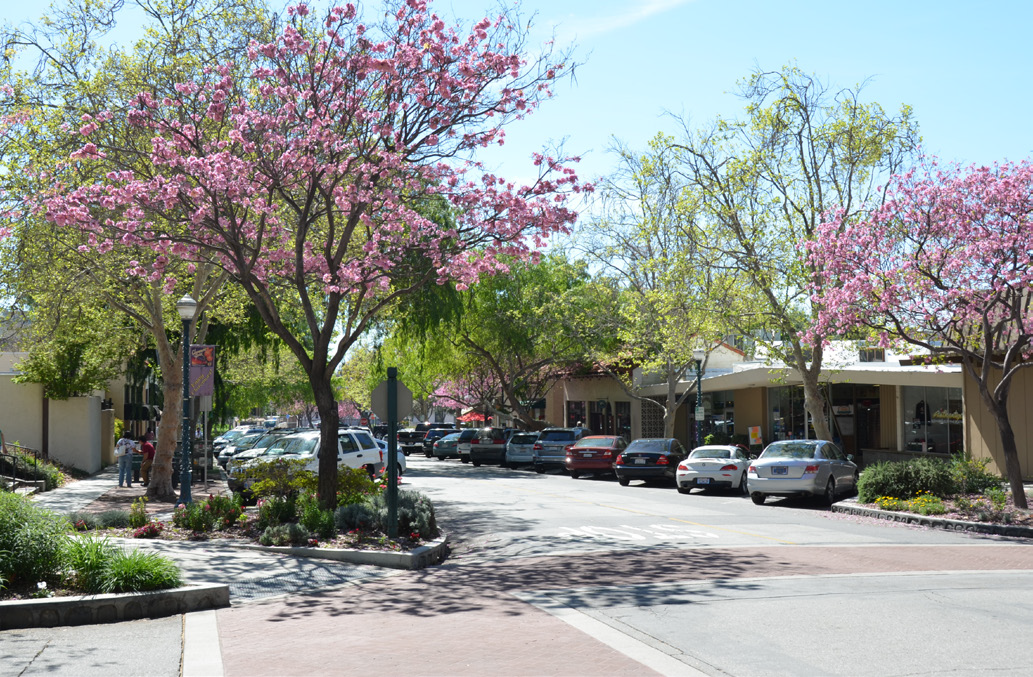 The City of Claremont is looking for one highly motivated, enthusiastic, and customer service oriented individual with excellent public relation skills to enforce the City's codes including zoning, property maintenance, and abatement of public nuisances and dangerous buildings, housing codes, and other aspects of the Municipal, and Land Use and Development Codes.